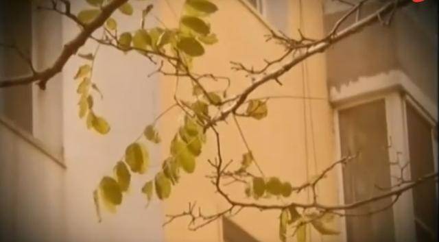 回顾保姆霸占房子2年在执法人员面前说：我行走江湖我怕谁Kaiyun 开云(图9)